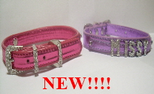crystal pet collar